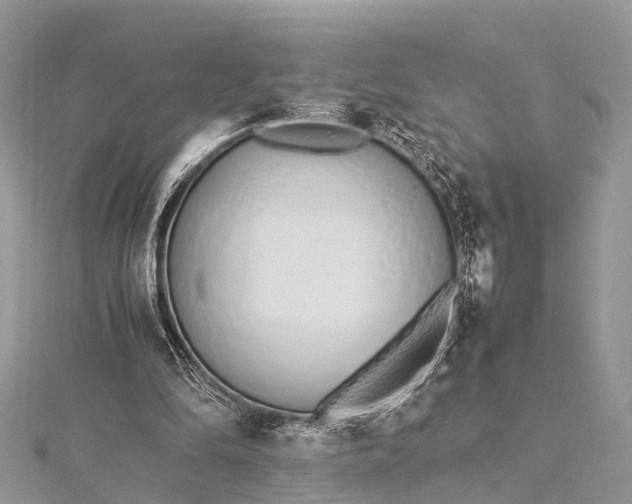 X0000115500294200911201624
