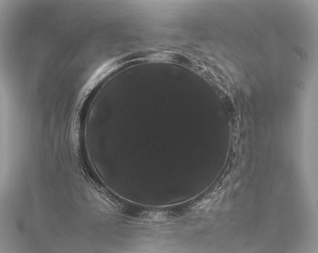 X0000115500295200911201624