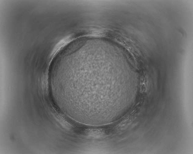 X0000115500296200911201624