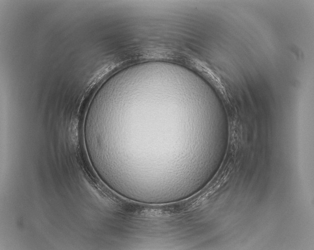 X0000115500298200911201624