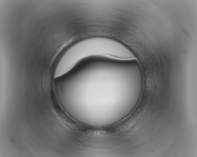 X0000115500304200911201624