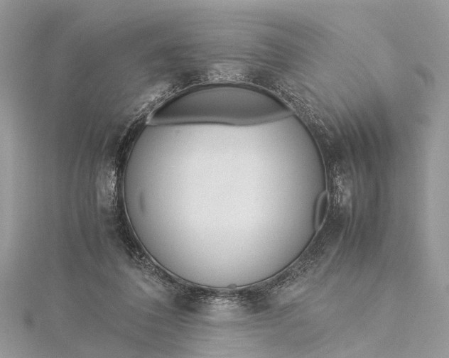 X0000115500308200911201624