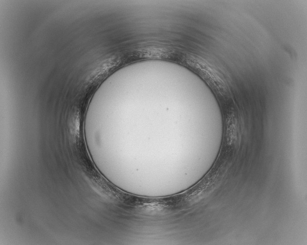 X0000115500310200911201624