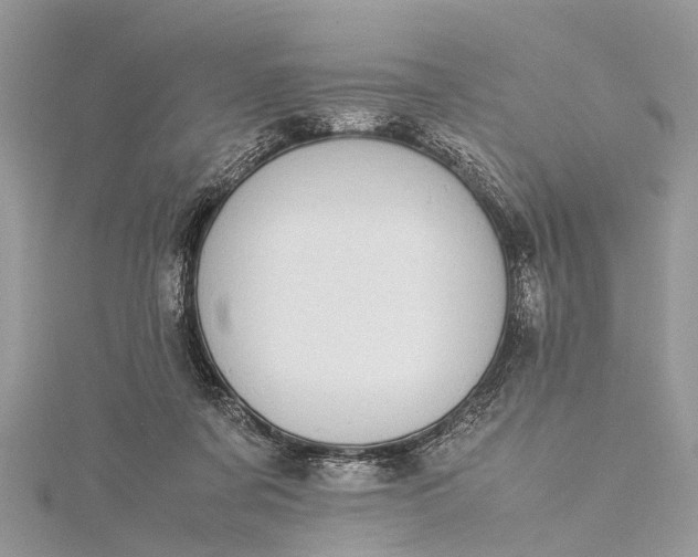 X0000115500311200911201624