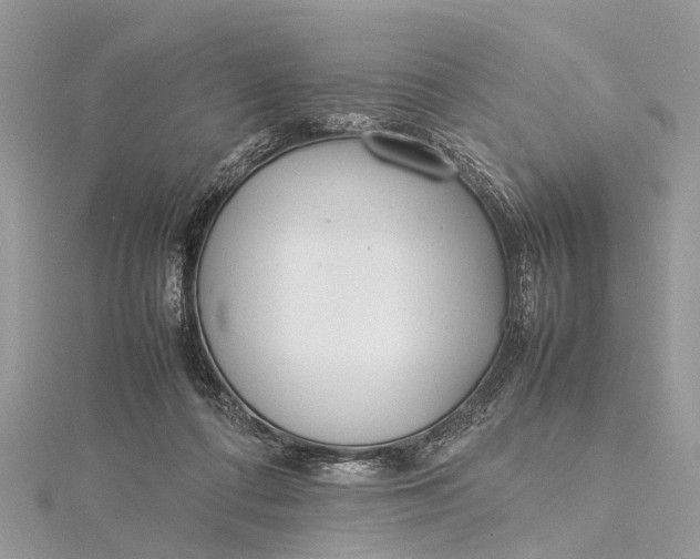 X0000115500312200911201624