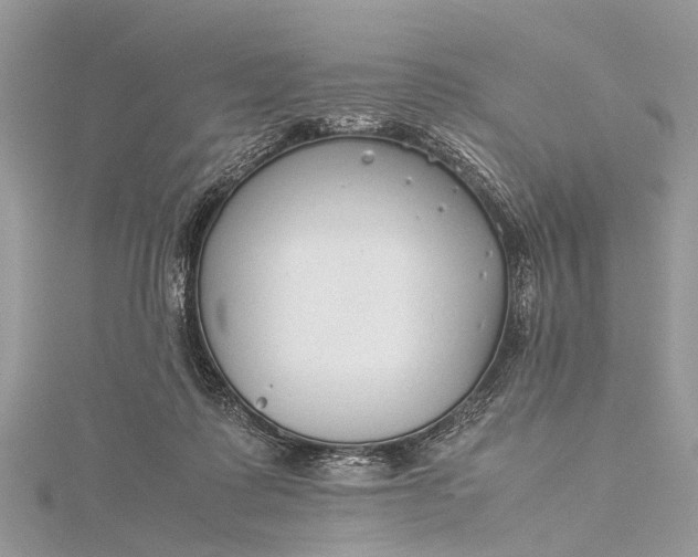 X0000115500315200911201624