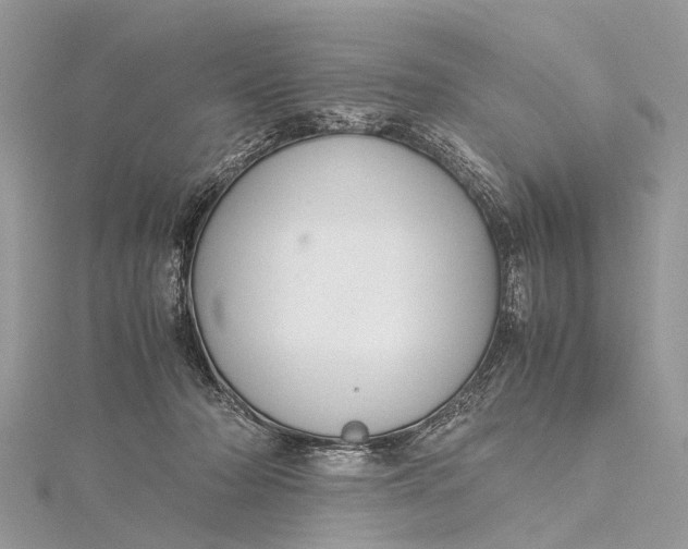 X0000115500318200911201624