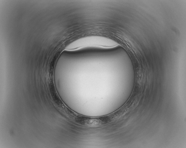 X0000115500324200911201624