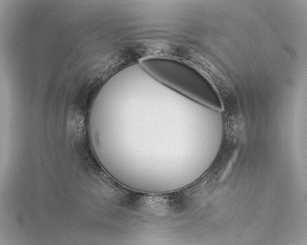 X0000115500327200911201624