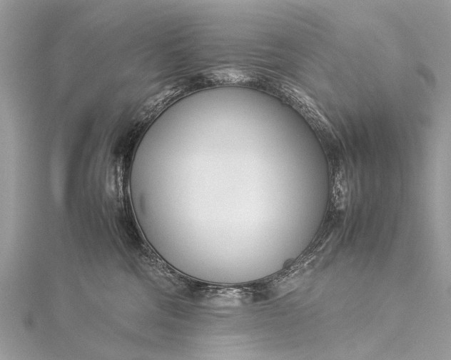 X0000115500330200911201624