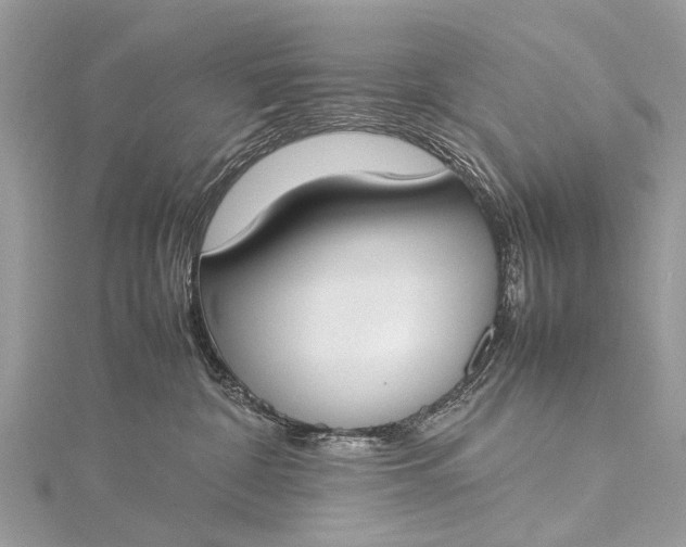 X0000115500332200911201624