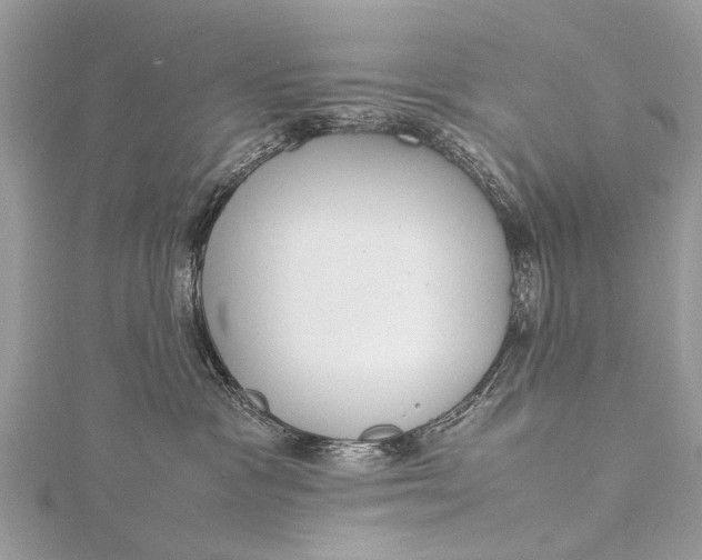 X0000115500333200911201624