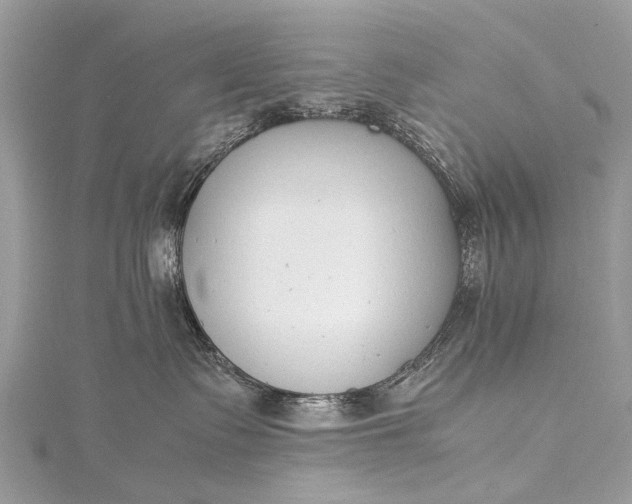 X0000115500335200911201624