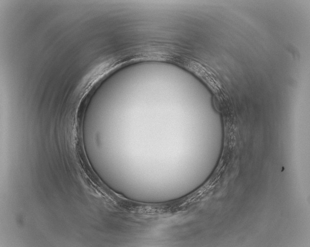 X0000115500338200911201623