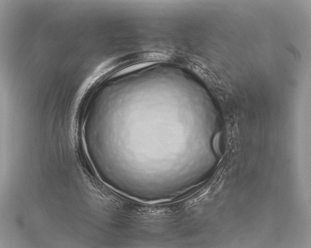 X0000115500343200911201623