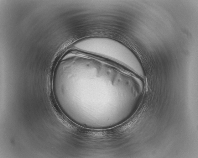 X0000115500349200911201623