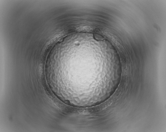 X0000115500353200911201623