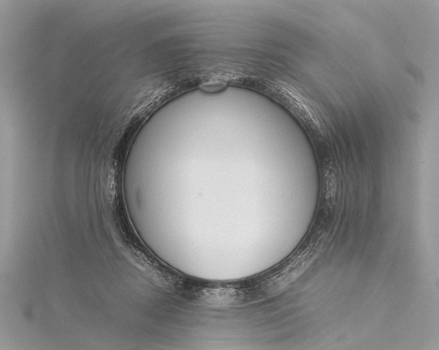 X0000115500362200911201623