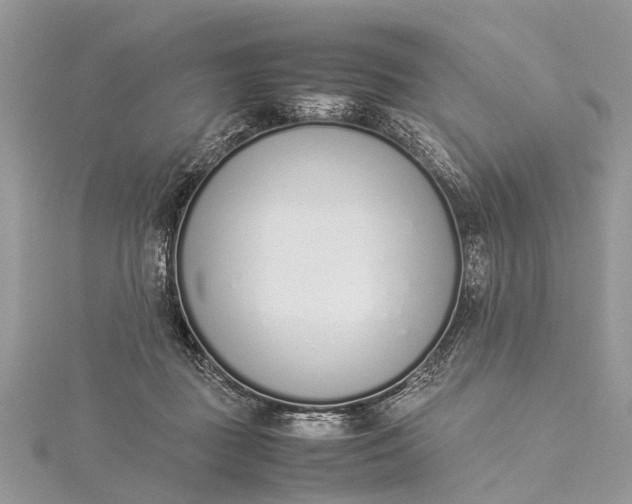 X0000115500363200911201623