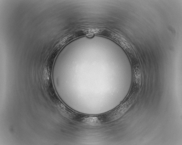X0000115500374200911201624