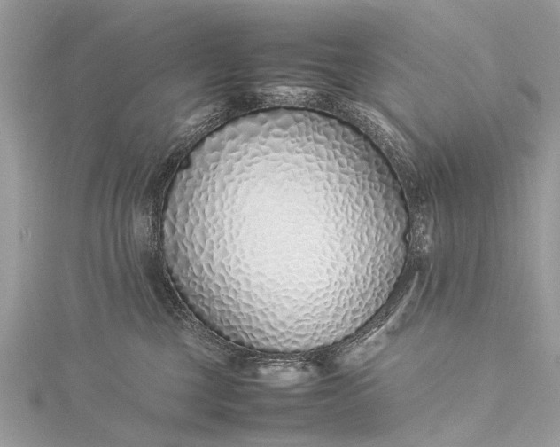 X0000115500377200911201624