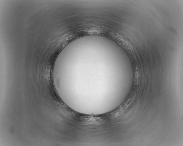 X0000115500379200911201624
