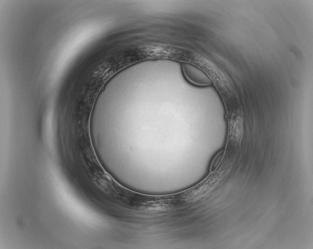 X0000115500381200911201624