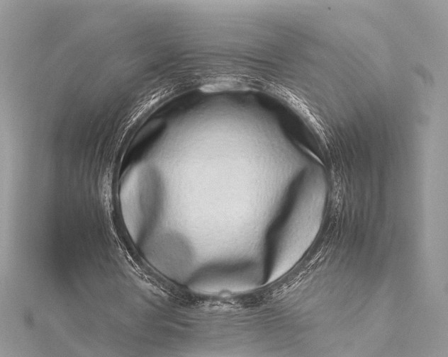 X0000115500386200911201623