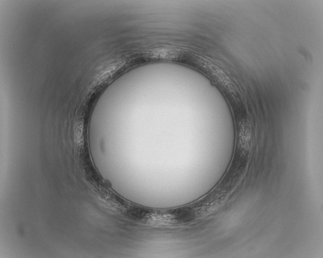 X0000115500403200911201623