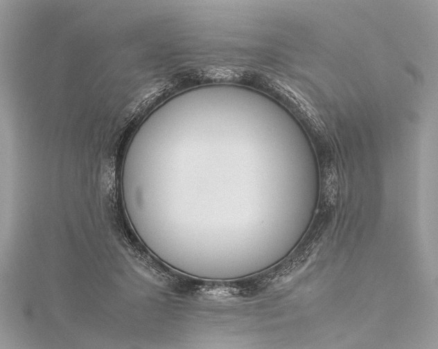 X0000115500407200911201623
