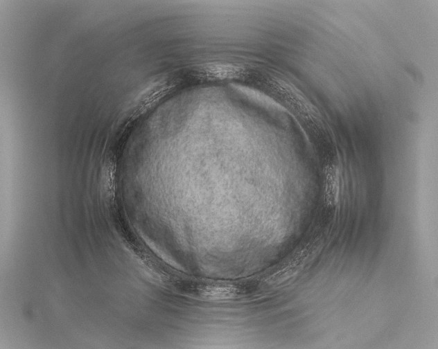 X0000115500410200911201623
