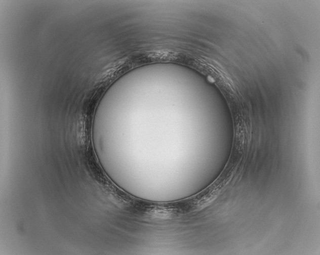 X0000115500416200911201623