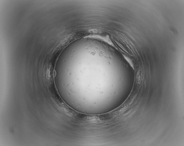 X0000115500424200911201623