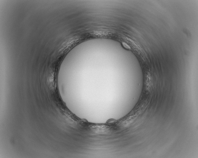 X0000115500428200911201623