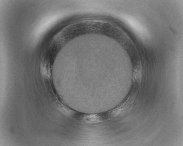 X0000115500431200911201622
