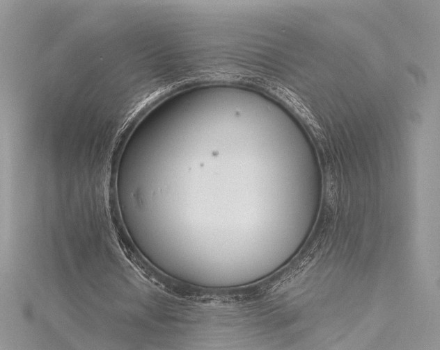 X0000115500434200911201622