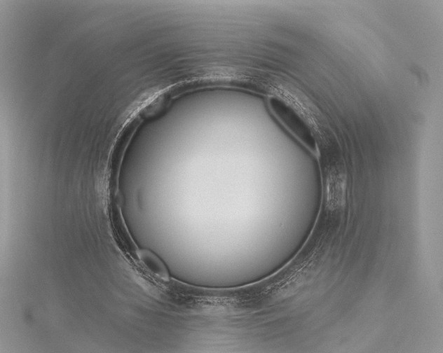X0000115500436200911201622