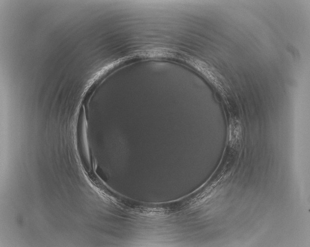 X0000115500438200911201622