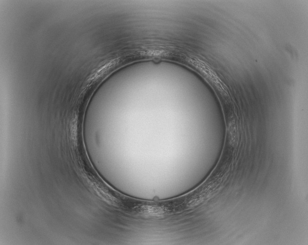 X0000115500442200911201622