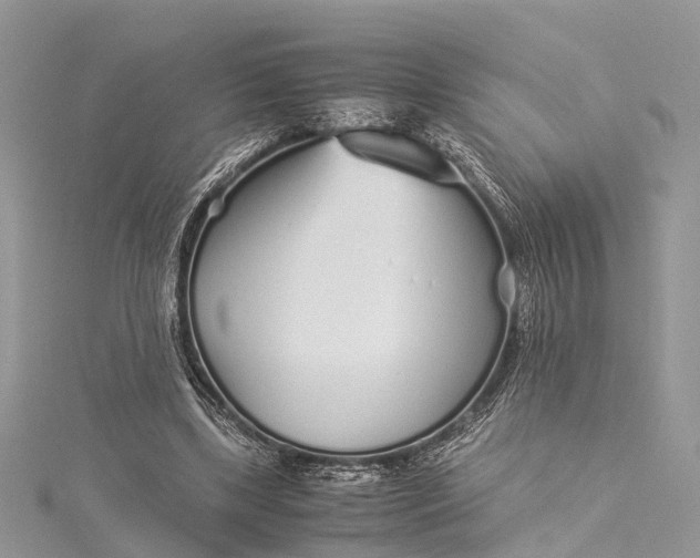 X0000115500443200911201622