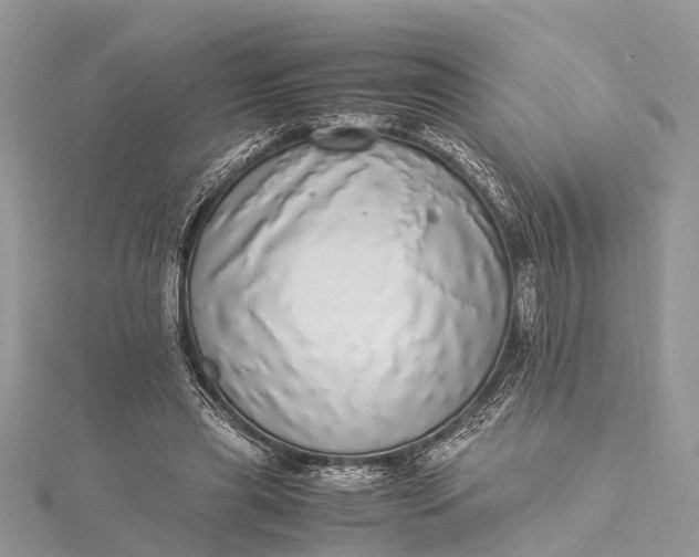 X0000115500445200911201622