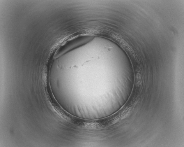 X0000115500446200911201622