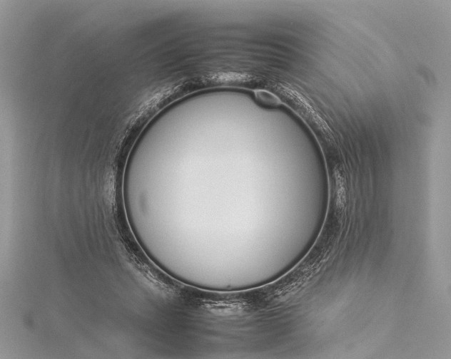 X0000115500447200911201622