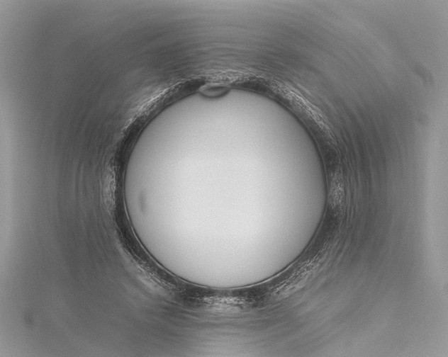 X0000115500448200911201622