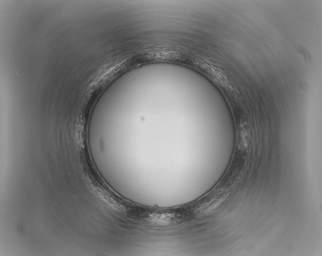 X0000115500450200911201622