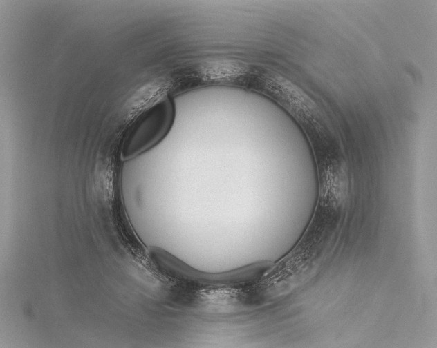 X0000115500452200911201622