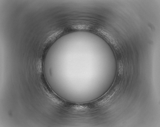 X0000115500453200911201622