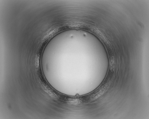 X0000115500454200911201622