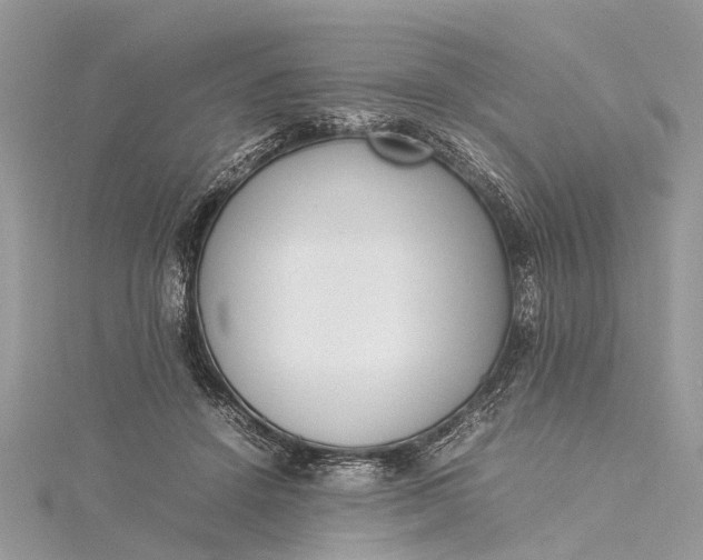 X0000115500456200911201622