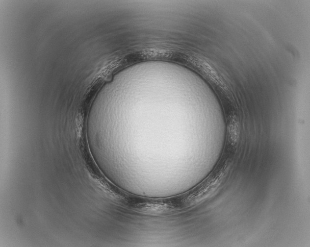 X0000115500458200911201622